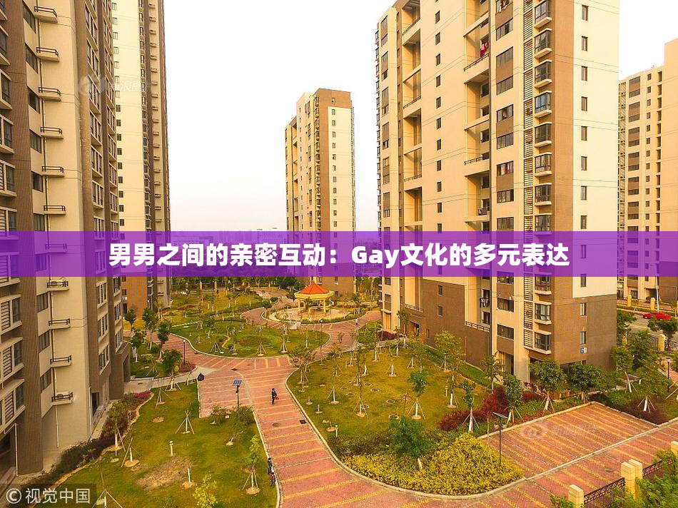 男男之间的亲密互动：Gay文化的多元表达