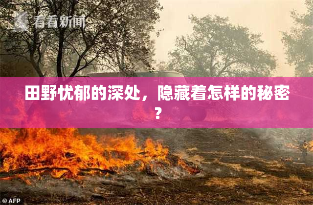 田野忧郁的深处，隐藏着怎样的秘密？
