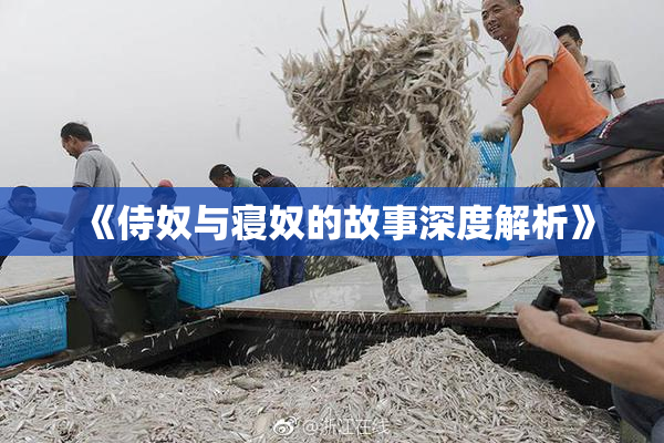 《侍奴与寝奴的故事深度解析》