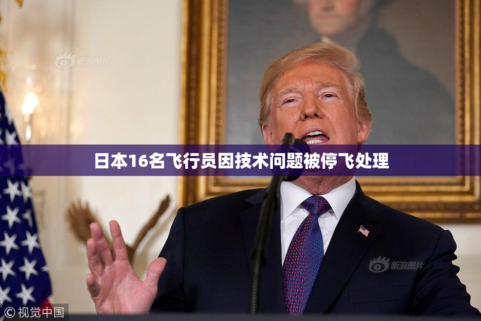 日本16名飞行员因技术问题被停飞处理