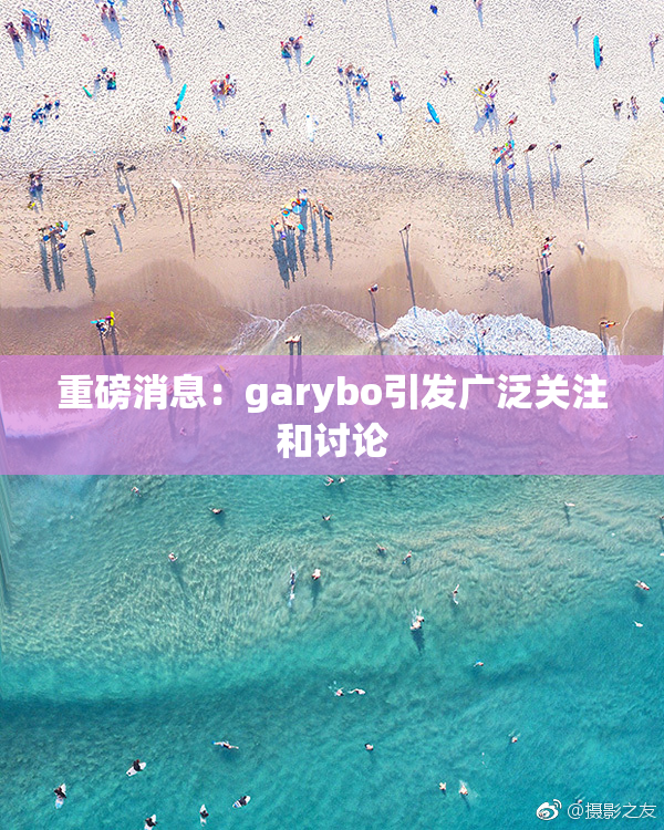 重磅消息：garybo引发广泛关注和讨论