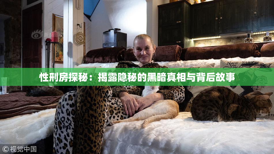 性刑房探秘：揭露隐秘的黑暗真相与背后故事