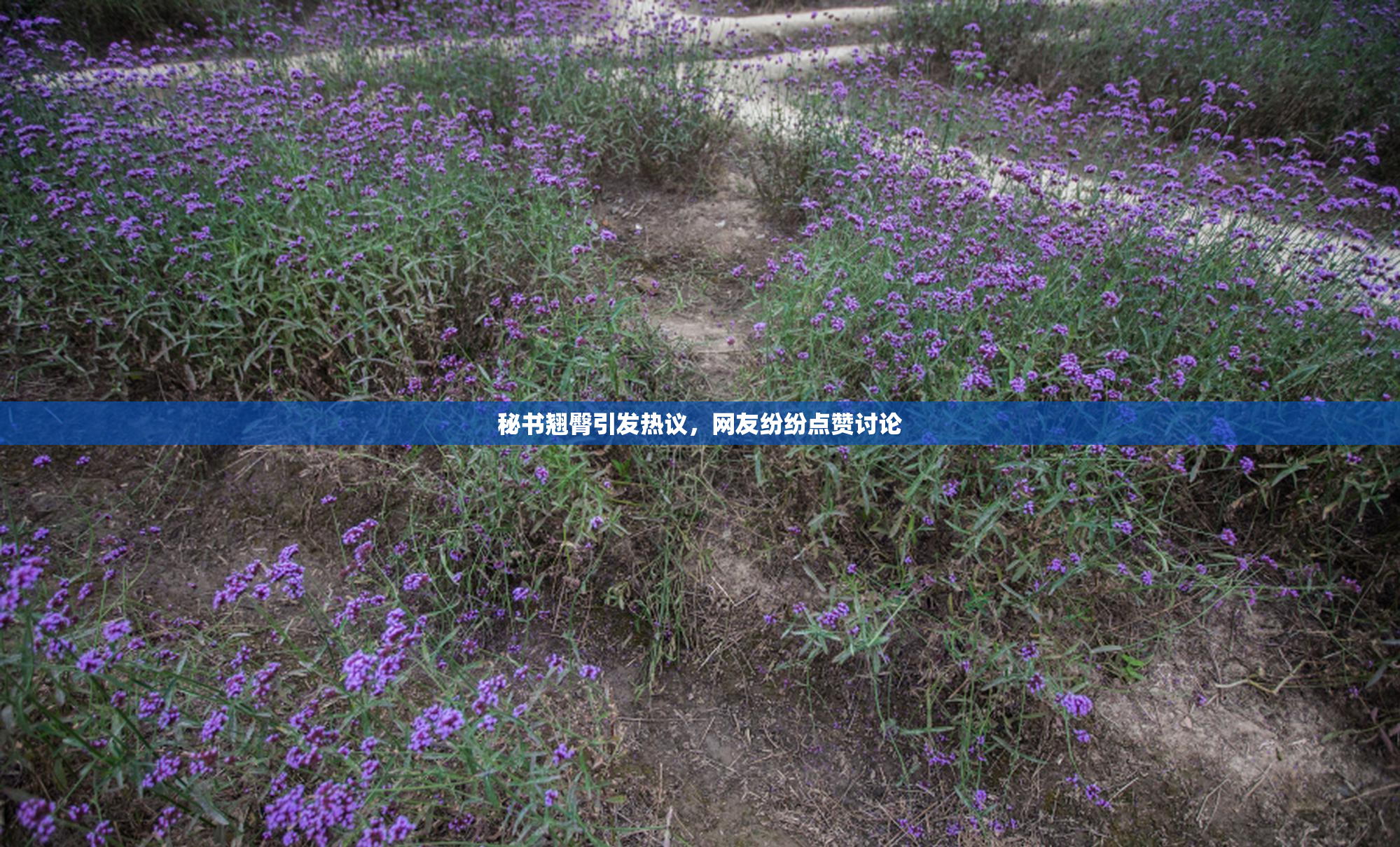 秘书翘臀引发热议，网友纷纷点赞讨论