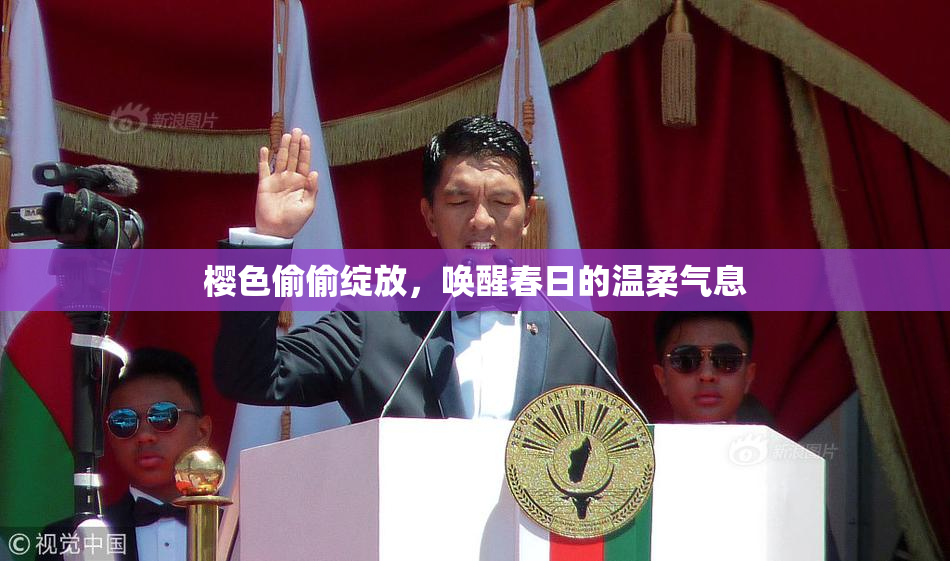 樱色偷偷绽放，唤醒春日的温柔气息