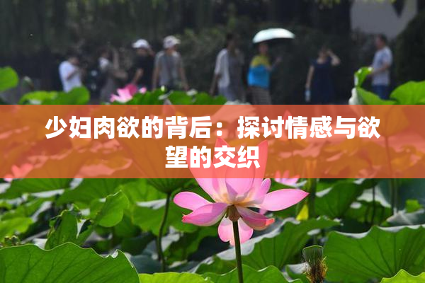 少妇肉欲的背后：探讨情感与欲望的交织