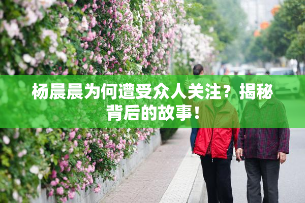 杨晨晨为何遭受众人关注？揭秘背后的故事！