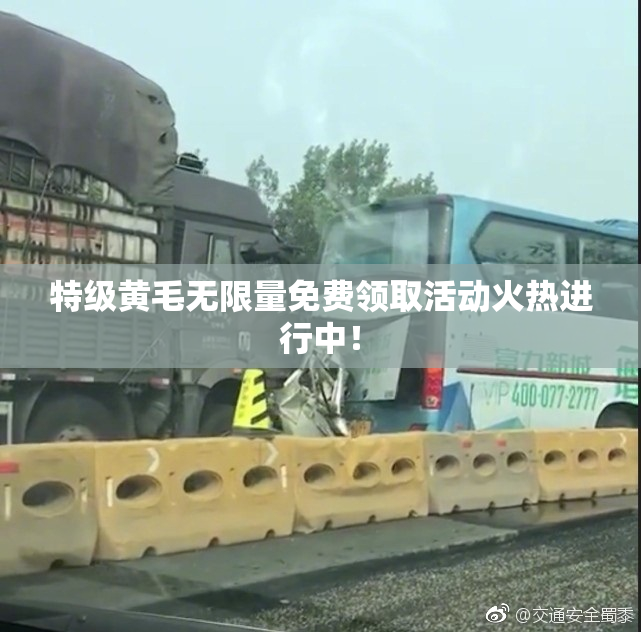 特级黄毛无限量免费领取活动火热进行中！