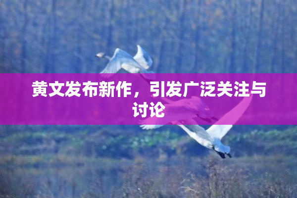 黄文发布新作，引发广泛关注与讨论