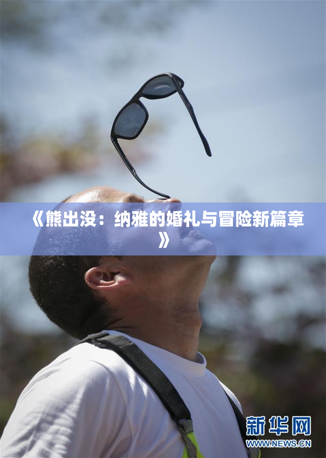 《熊出没：纳雅的婚礼与冒险新篇章》