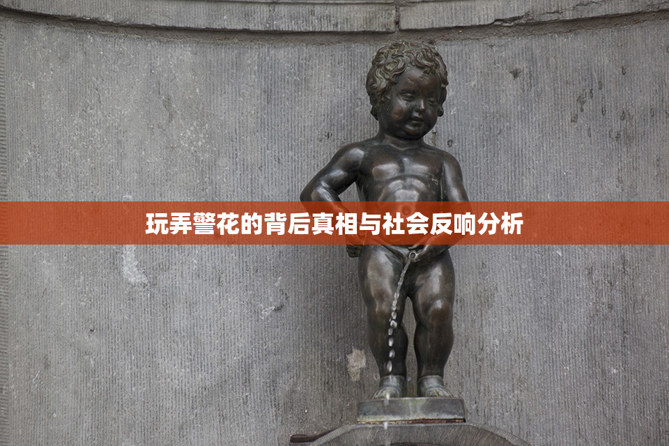 玩弄警花的背后真相与社会反响分析