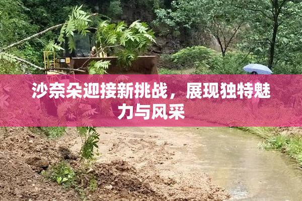 沙奈朵迎接新挑战，展现独特魅力与风采