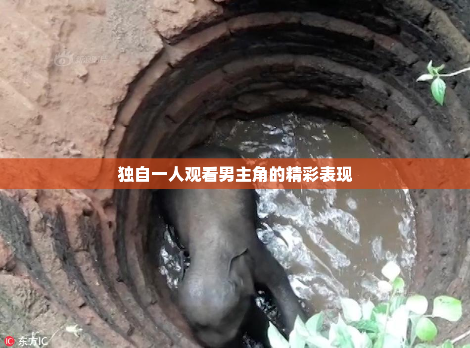 独自一人观看男主角的精彩表现