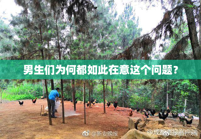 男生们为何都如此在意这个问题？