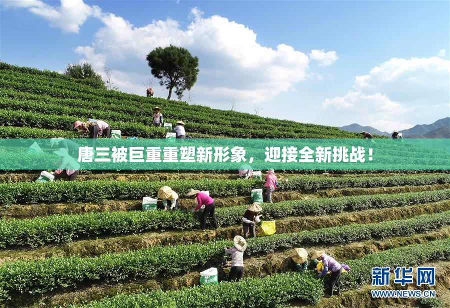 唐三被巨重重塑新形象，迎接全新挑战！