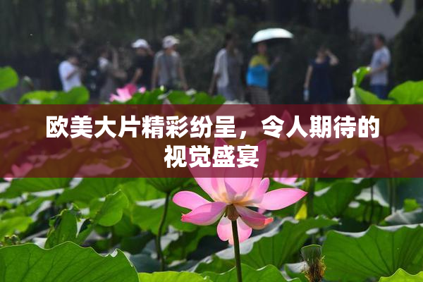 欧美大片精彩纷呈，令人期待的视觉盛宴