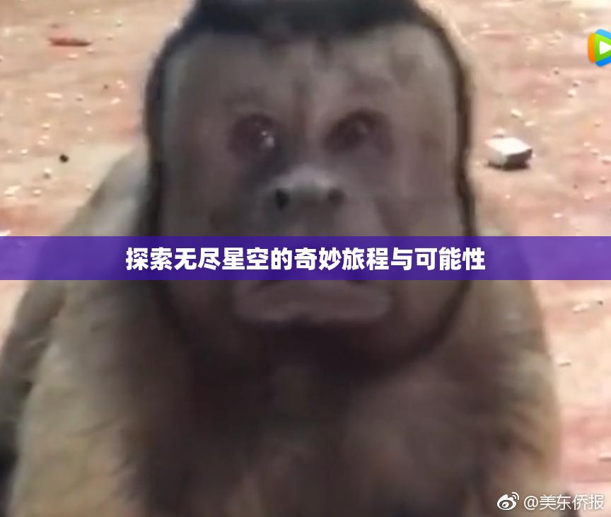 探索无尽星空的奇妙旅程与可能性