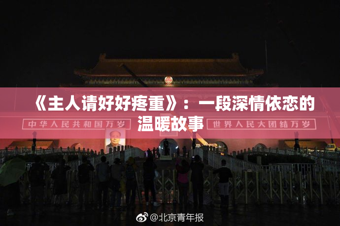 《主人请好好疼重》：一段深情依恋的温暖故事