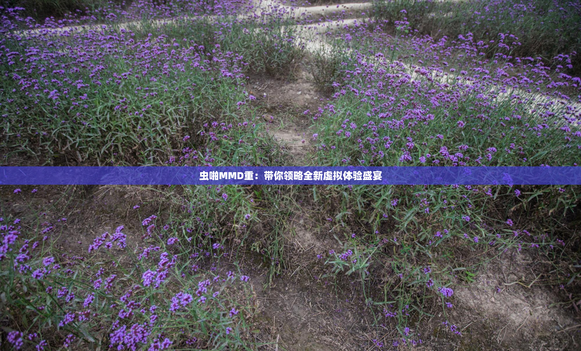 虫啪MMD重：带你领略全新虚拟体验盛宴