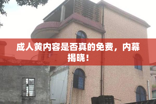 成人黄内容是否真的免费，内幕揭晓！