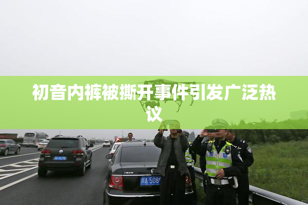 初音内裤被撕开事件引发广泛热议
