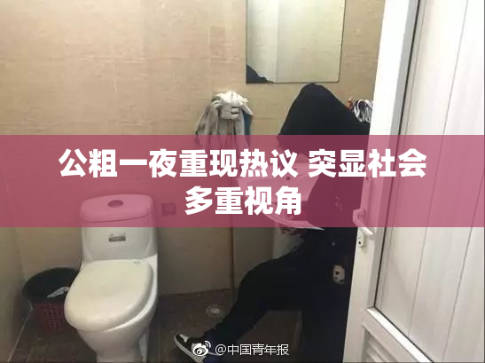公粗一夜重现热议 突显社会多重视角