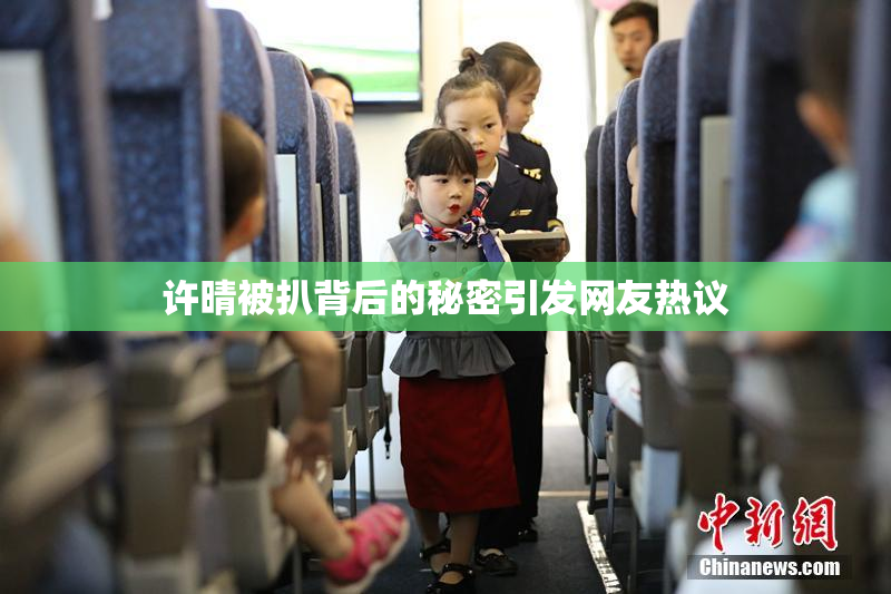 许晴被扒背后的秘密引发网友热议