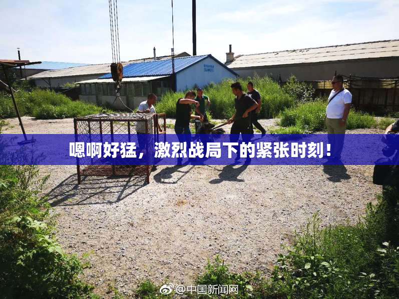 嗯啊好猛，激烈战局下的紧张时刻！