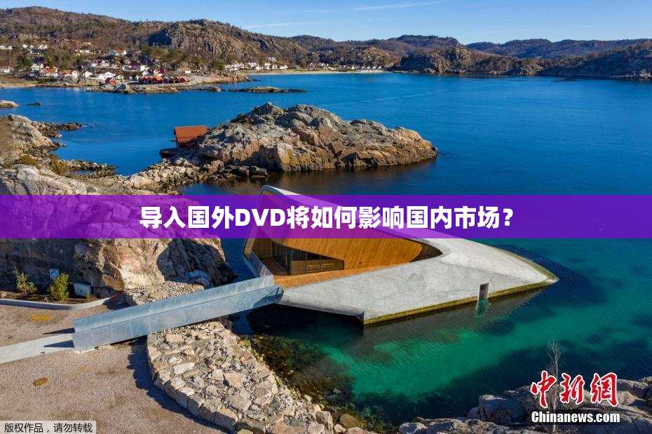 导入国外DVD将如何影响国内市场？