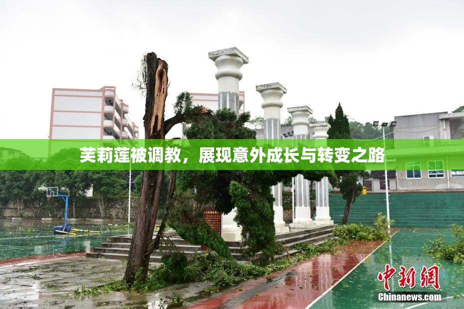 芙莉莲被调教，展现意外成长与转变之路