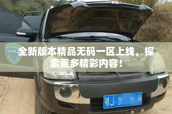 全新版本精品无码一区上线，探索更多精彩内容！