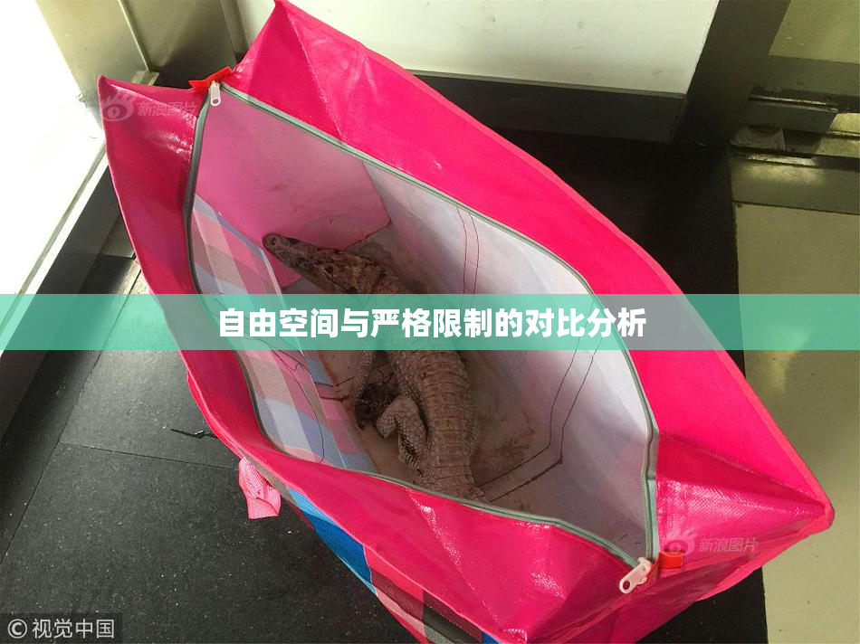 自由空间与严格限制的对比分析