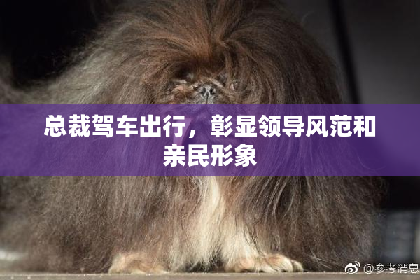 总裁驾车出行，彰显领导风范和亲民形象