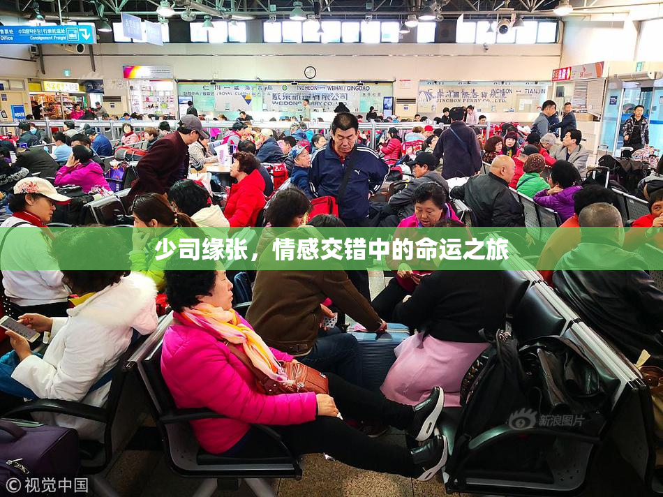 少司缘张，情感交错中的命运之旅