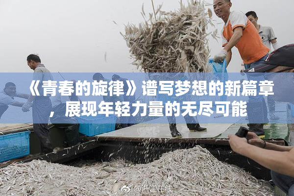 《青春的旋律》谱写梦想的新篇章，展现年轻力量的无尽可能