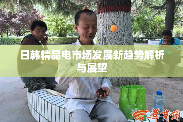 日韩精品电市场发展新趋势解析与展望