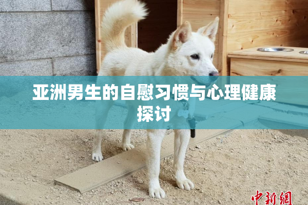 亚洲男生的自慰习惯与心理健康探讨