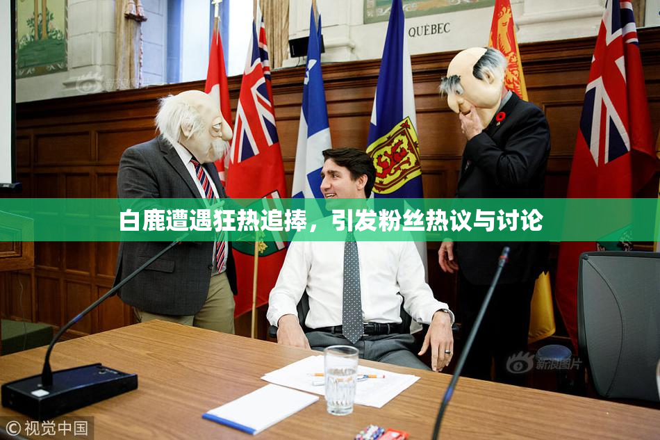白鹿遭遇狂热追捧，引发粉丝热议与讨论
