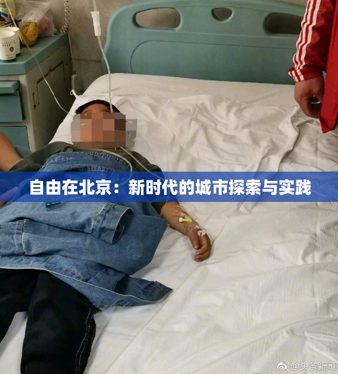 自由在北京：新时代的城市探索与实践