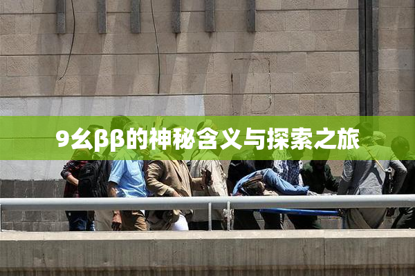 9幺ββ的神秘含义与探索之旅