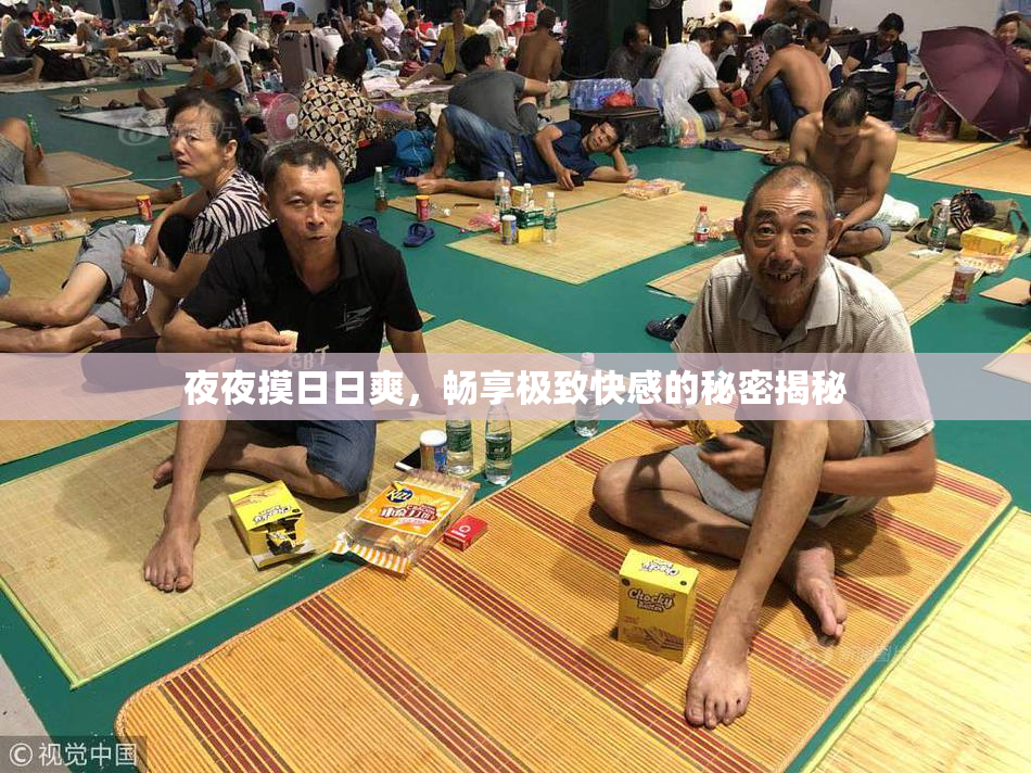 夜夜摸日日爽，畅享极致快感的秘密揭秘