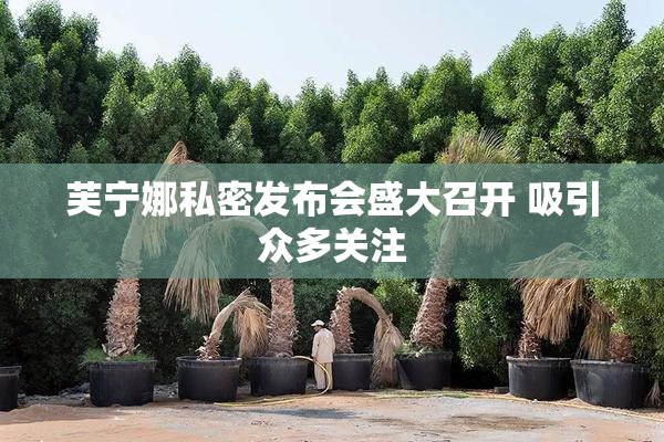 芙宁娜私密发布会盛大召开 吸引众多关注