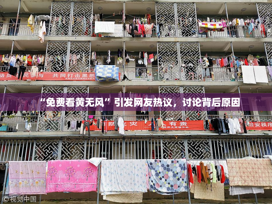 “免费看黄无风”引发网友热议，讨论背后原因