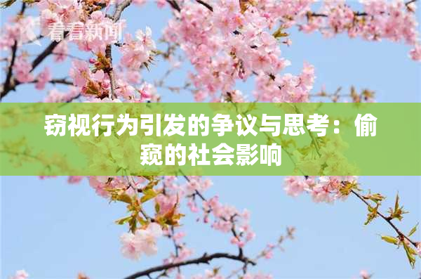 窃视行为引发的争议与思考：偷窥的社会影响