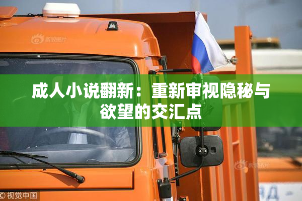 成人小说翻新：重新审视隐秘与欲望的交汇点