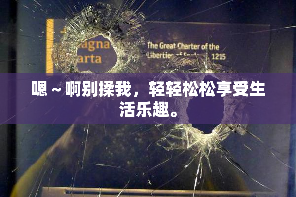 嗯～啊别揉我，轻轻松松享受生活乐趣。