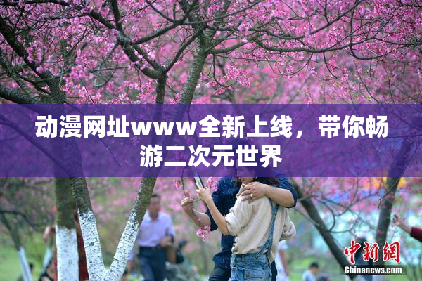 动漫网址www全新上线，带你畅游二次元世界