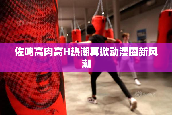 佐鸣高肉高H热潮再掀动漫圈新风潮