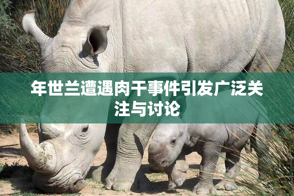 年世兰遭遇肉干事件引发广泛关注与讨论