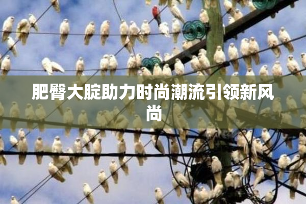 肥臀大腚助力时尚潮流引领新风尚