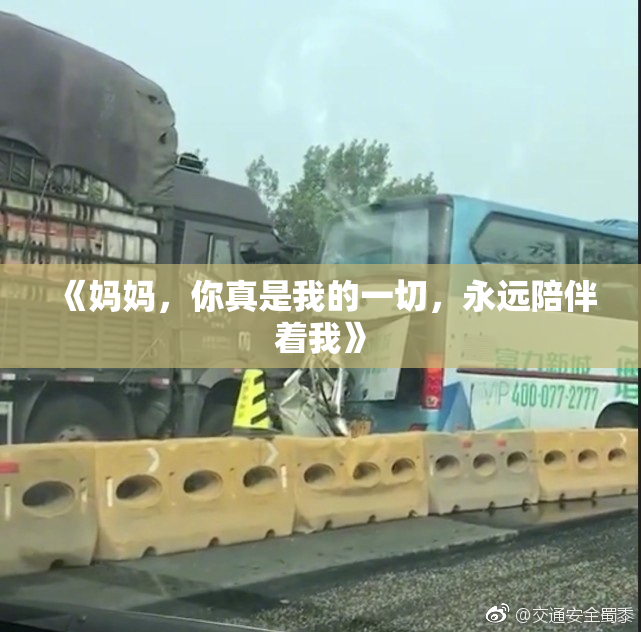 《妈妈，你真是我的一切，永远陪伴着我》